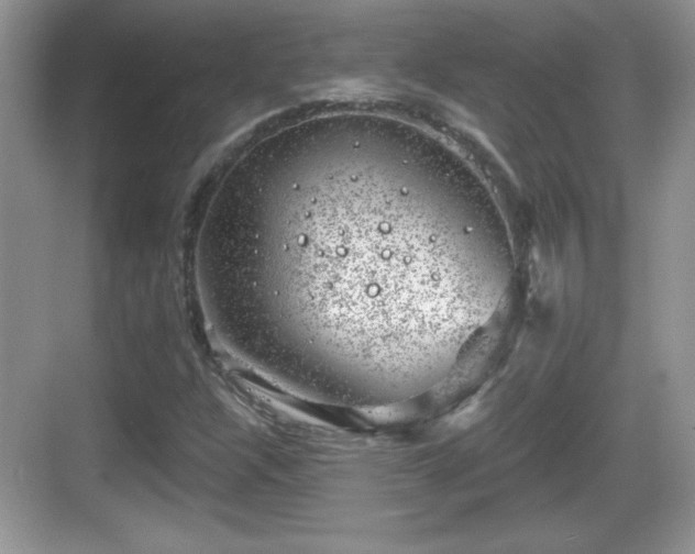 X0000068851304200605121359