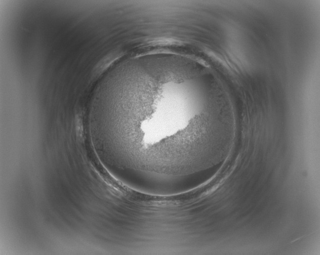 X0000068851305200605121359