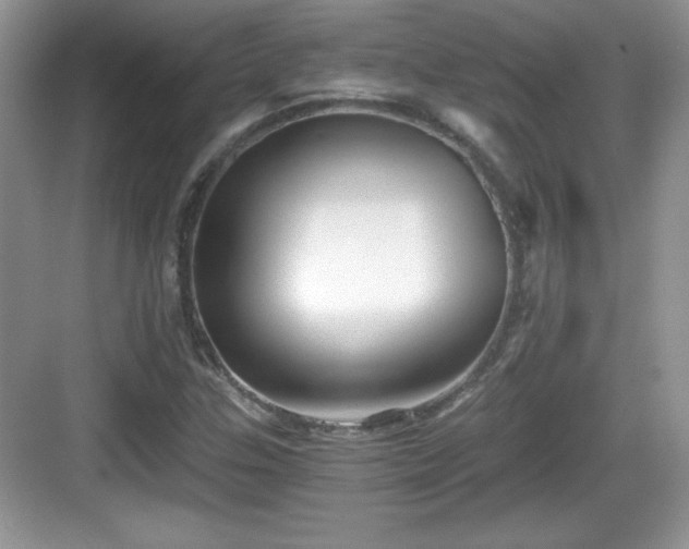 X0000068851307200605121359