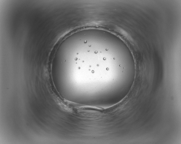 X0000068851308200605121359