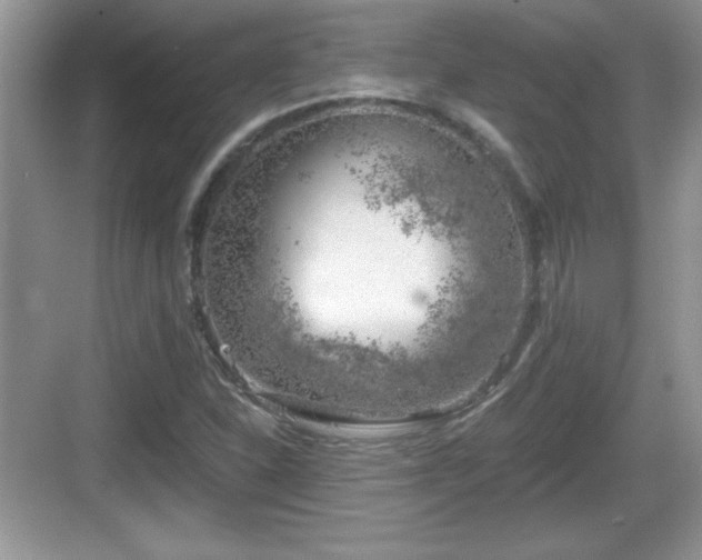 X0000068851310200605121359