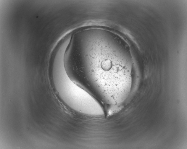 X0000068851312200605121359