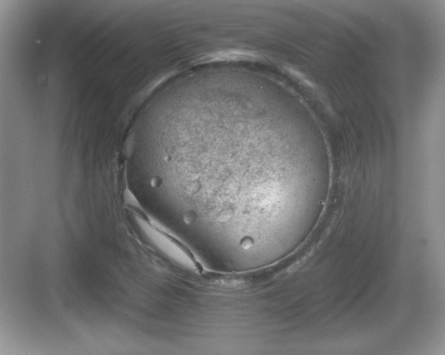 X0000068851313200605121359