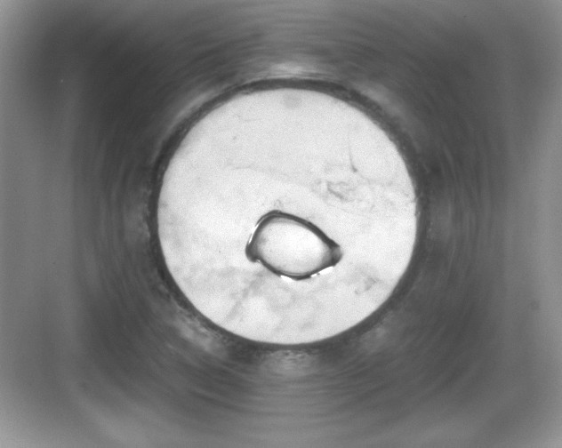 X0000068851314200605121359