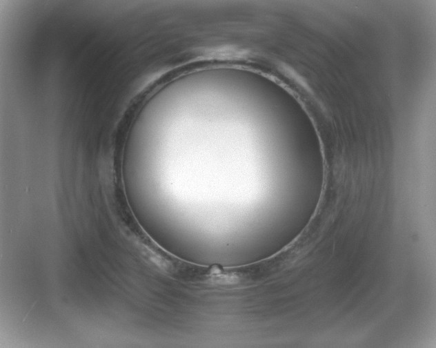 X0000068851315200605121359