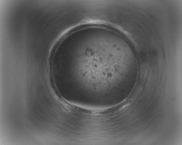 X0000068851319200605121359