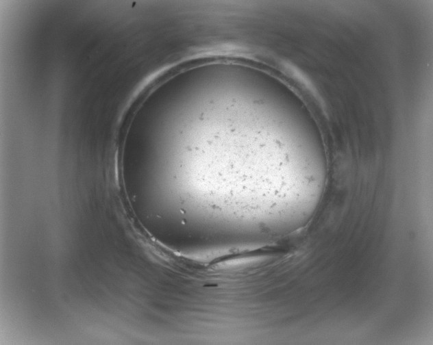 X0000068851320200605121359