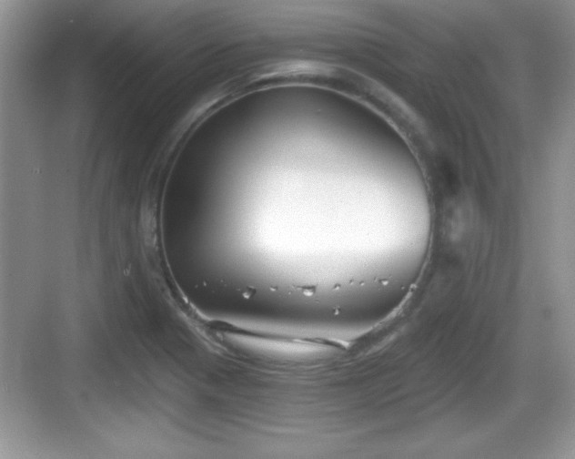 X0000068851321200605121359