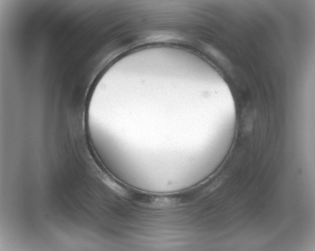 X0000068851322200605121359