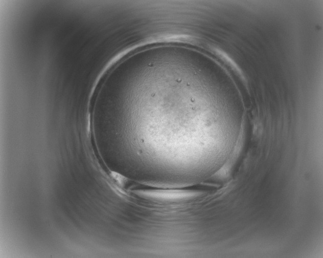 X0000068851324200605121359