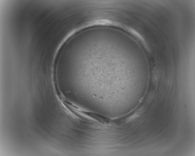 X0000068851326200605121359