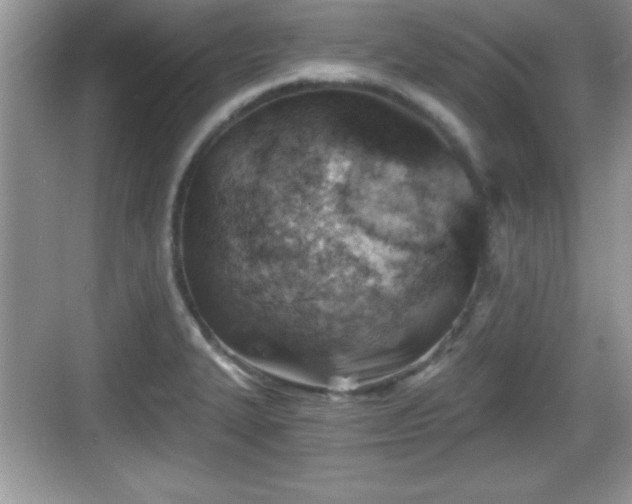 X0000068851327200605121359