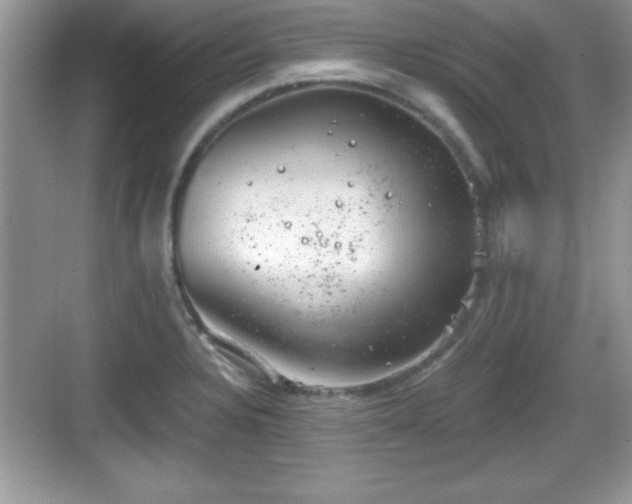 X0000068851328200605121359