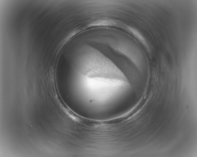 X0000068851329200605121359