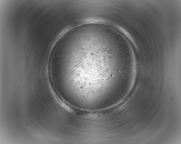 X0000068851330200605121359