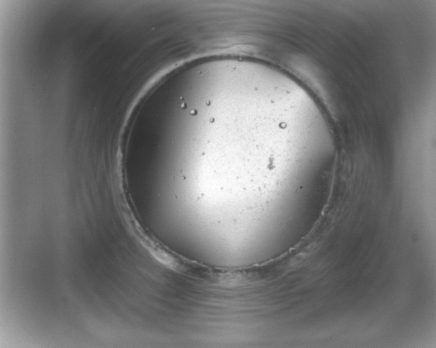 X0000068851332200605121359