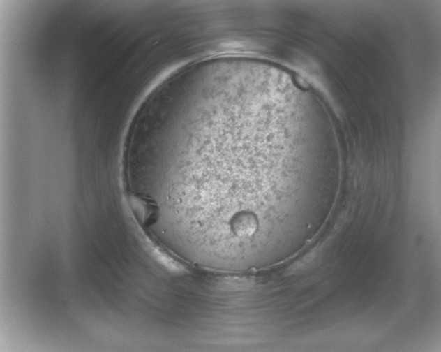 X0000068851333200605121359