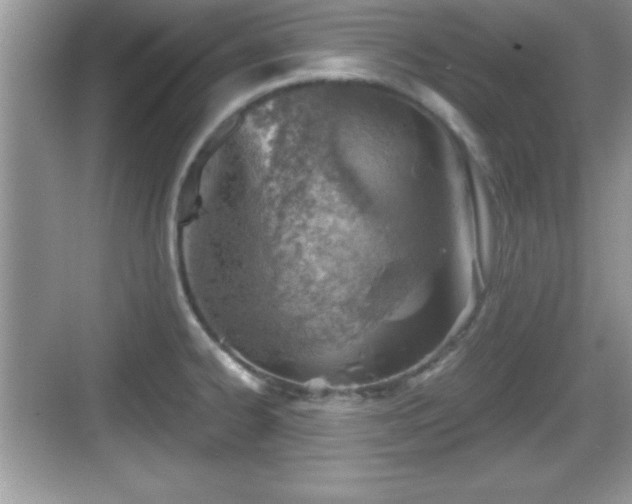 X0000068851334200605121359