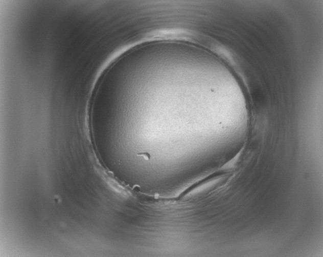 X0000068851336200605121359