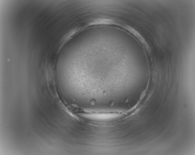 X0000068851337200605121359