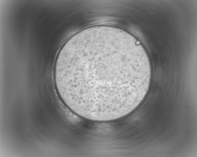 X0000068851338200605121359