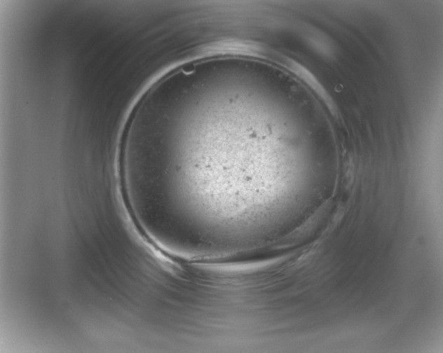 X0000068851339200605121359