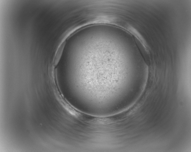 X0000068851340200605121359