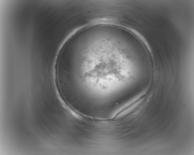 X0000068851341200605121359