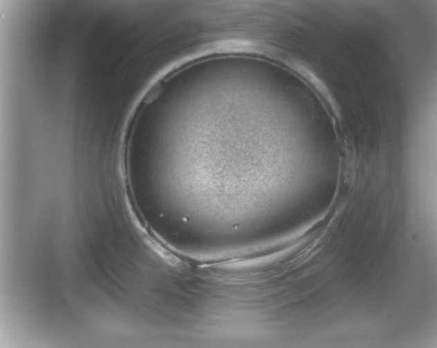 X0000068851342200605121359