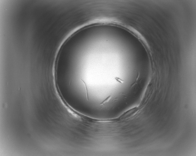 X0000068851343200605121359