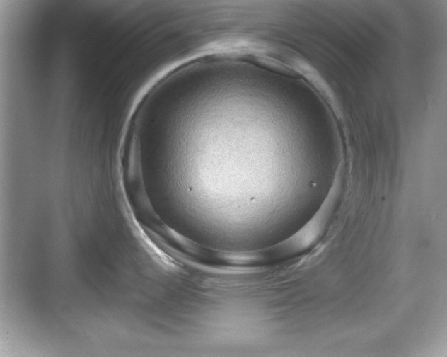 X0000068851344200605121359