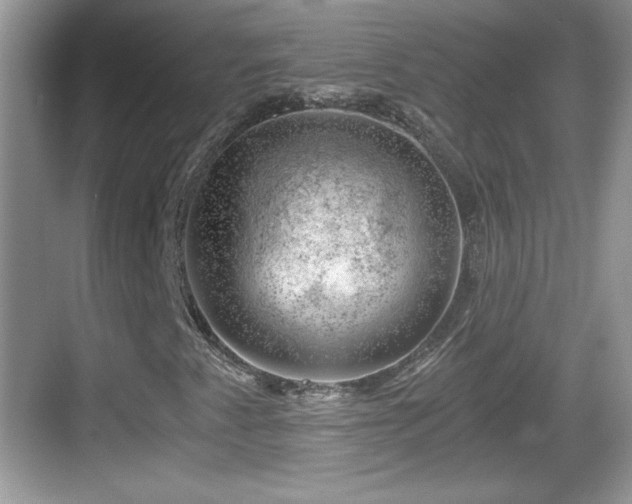 X0000068851345200605121359