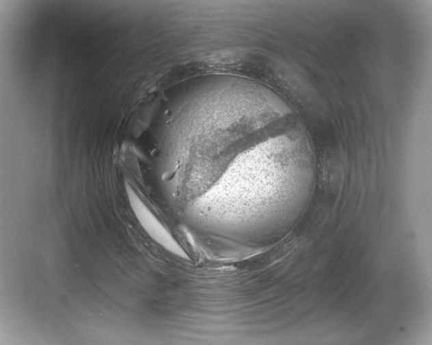 X0000068851346200605121358