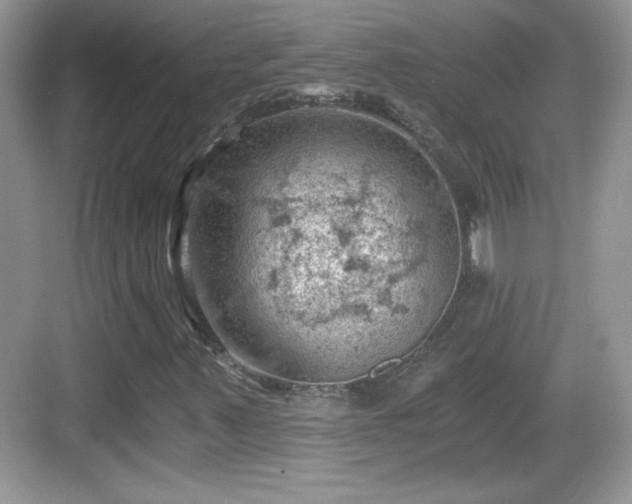 X0000068851347200605121358