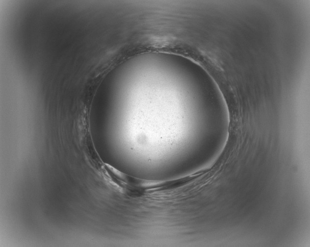 X0000068851349200605121358