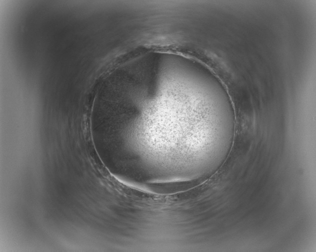 X0000068851350200605121358