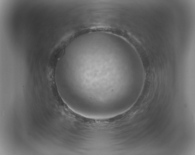 X0000068851351200605121358