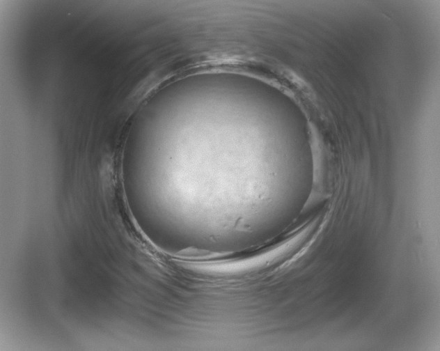 X0000068851353200605121358