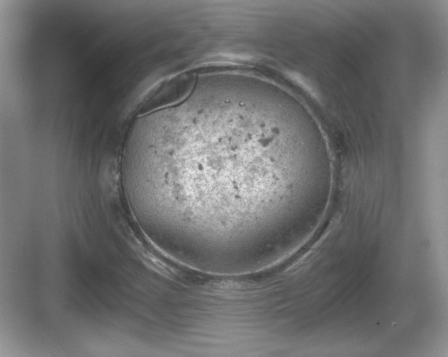 X0000068851355200605121358