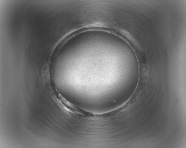 X0000068851356200605121358