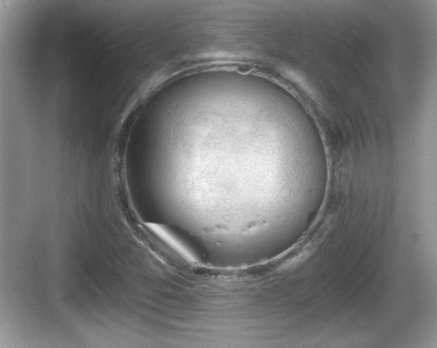 X0000068851357200605121358