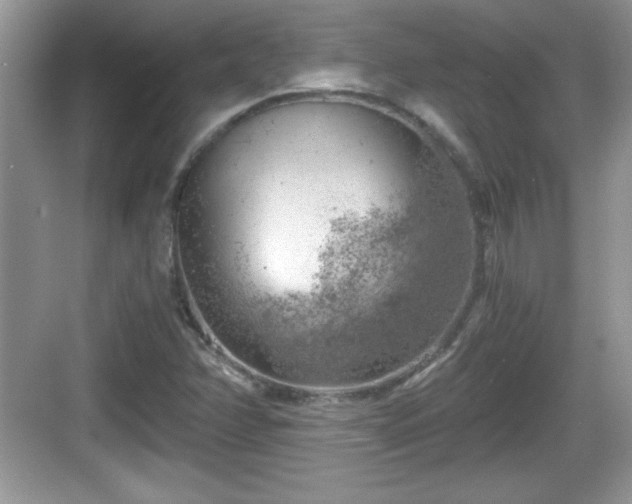 X0000068851358200605121358