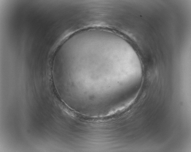 X0000068851359200605121358