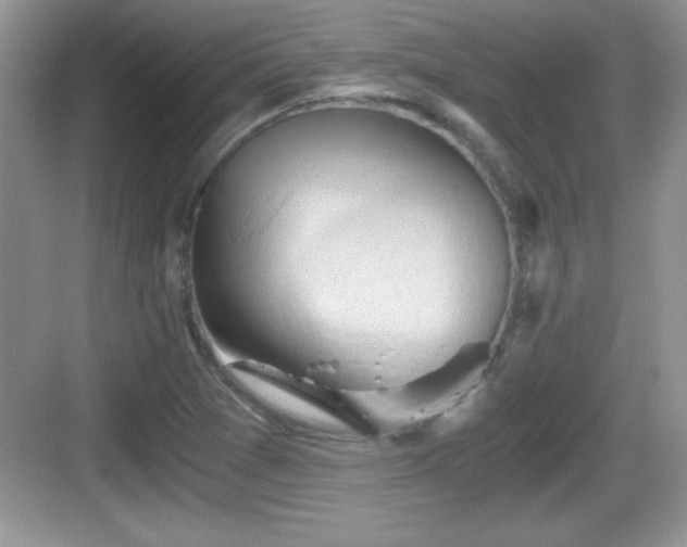 X0000068851361200605121358