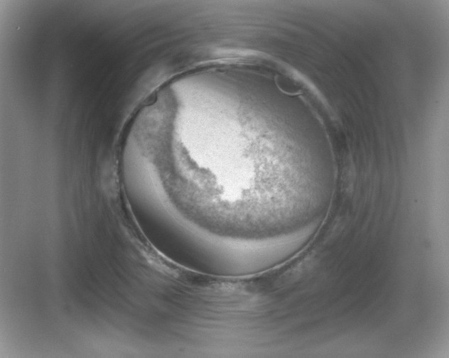 X0000068851362200605121358