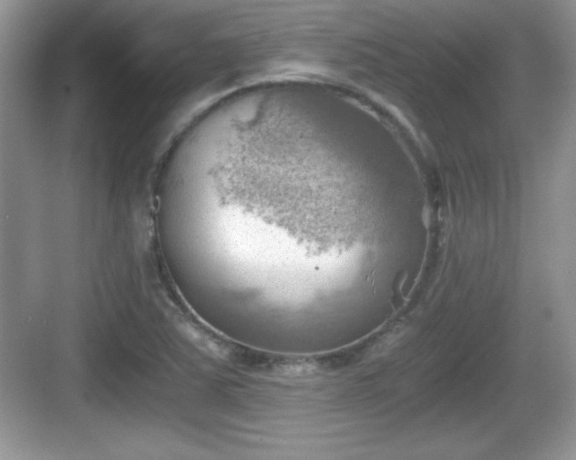 X0000068851363200605121358