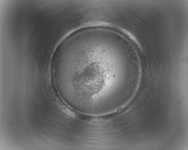 X0000068851364200605121358