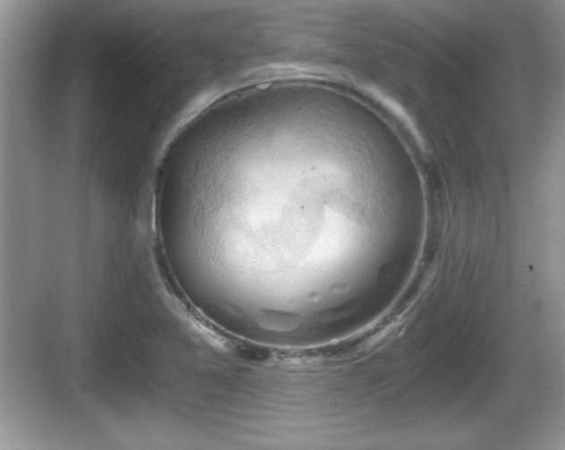 X0000068851365200605121358