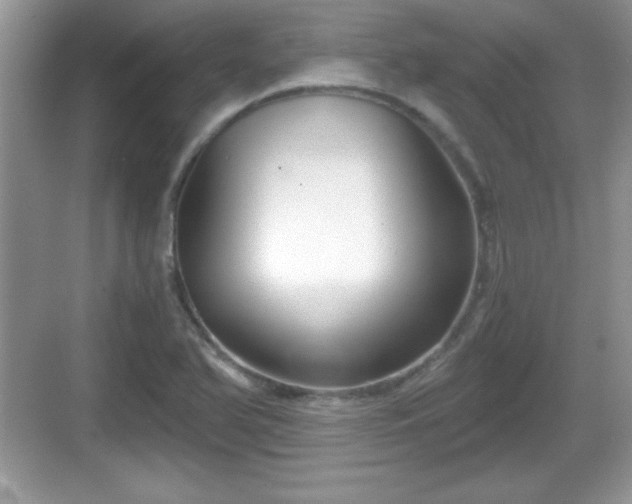 X0000068851366200605121358