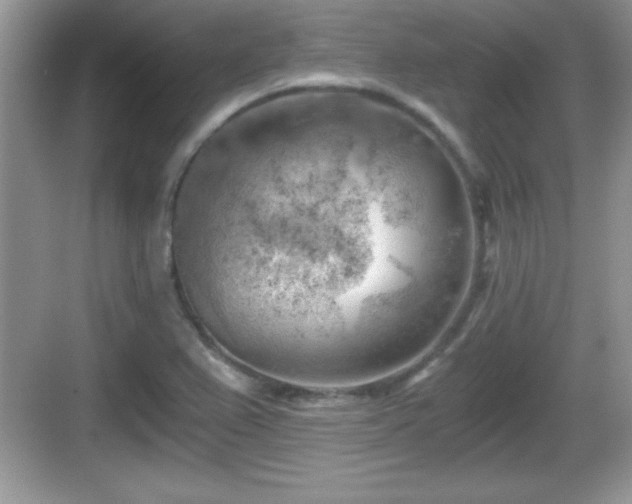 X0000068851367200605121358